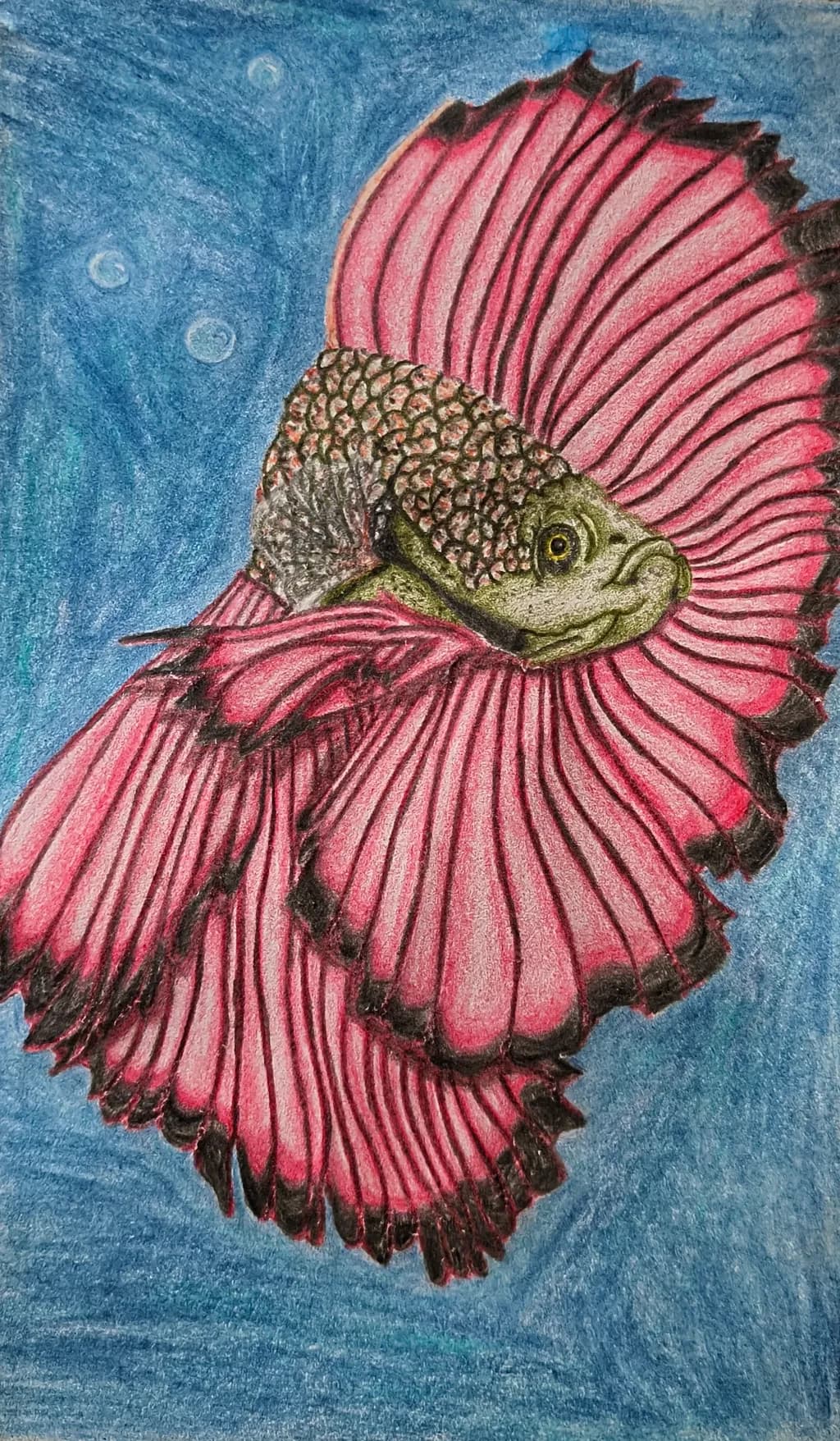 Floral Fish Fantasy