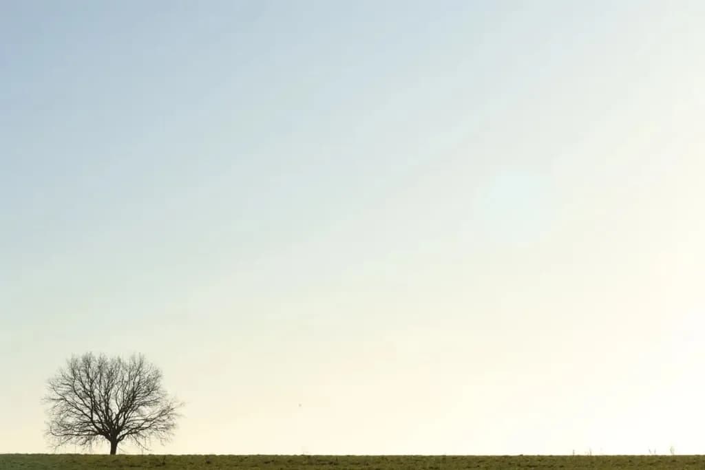 Solitary Presence