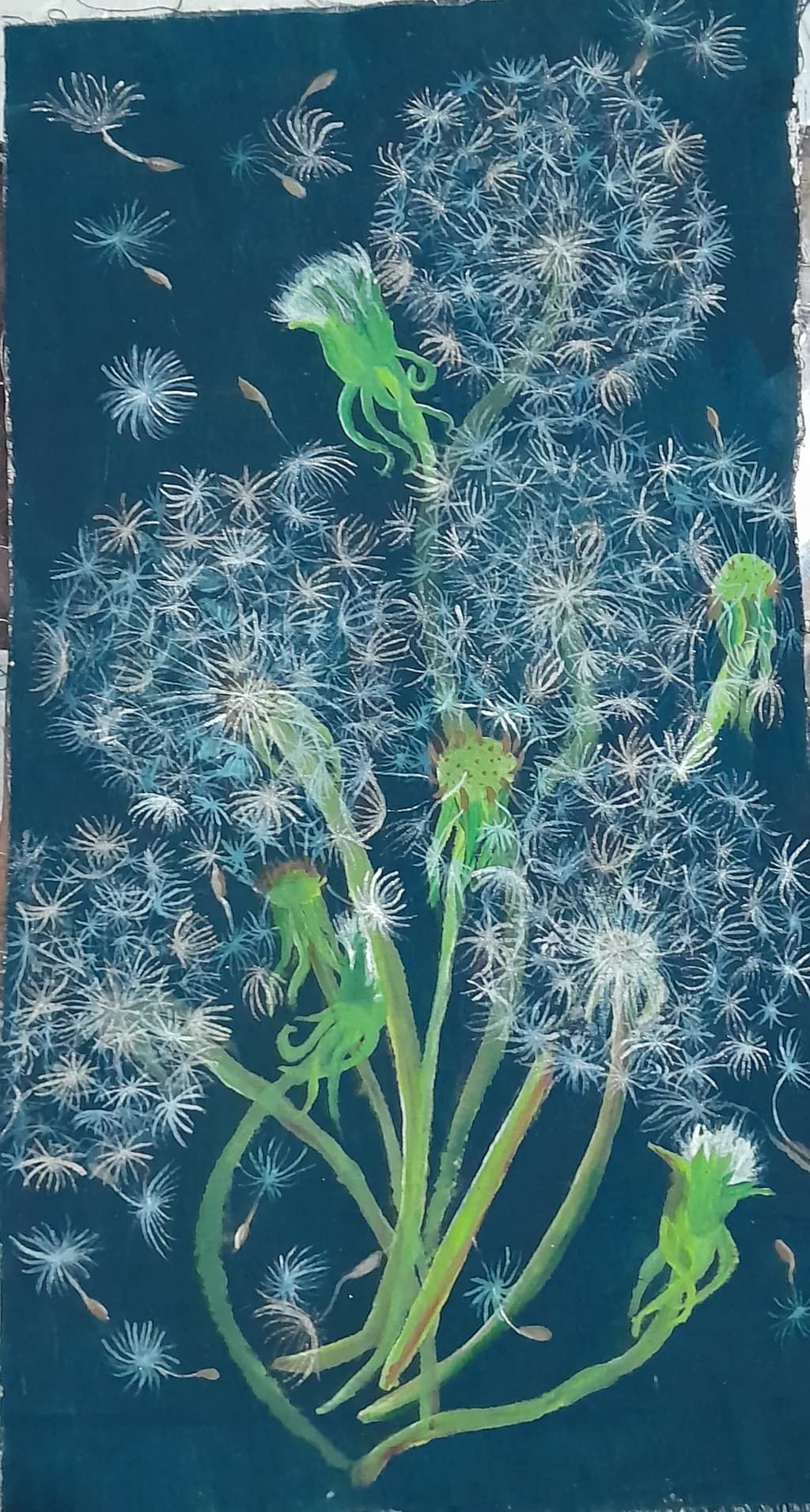 Dandelion Dreams