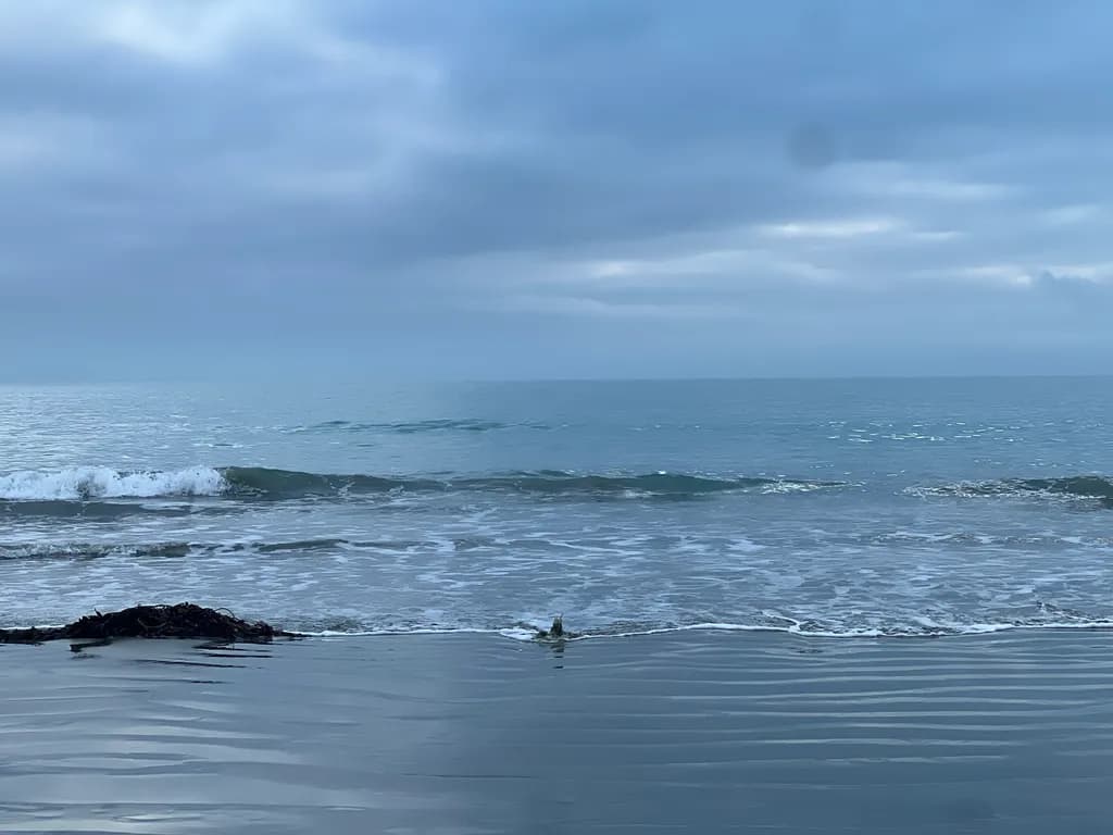 Calm Ocean Waves