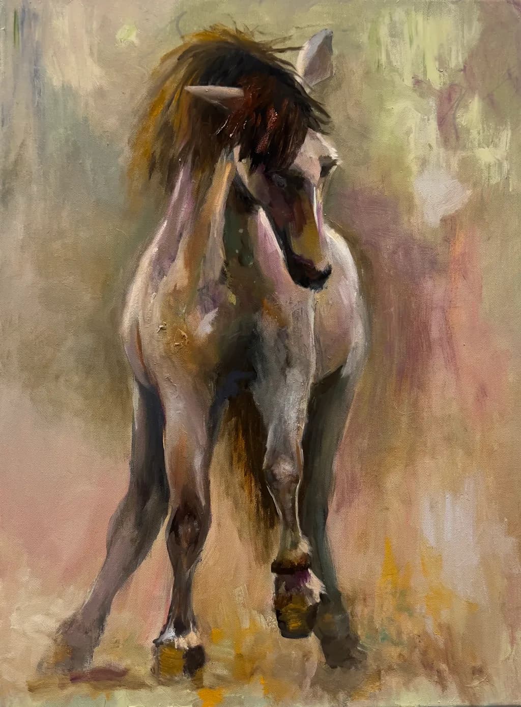 Young Horse Study