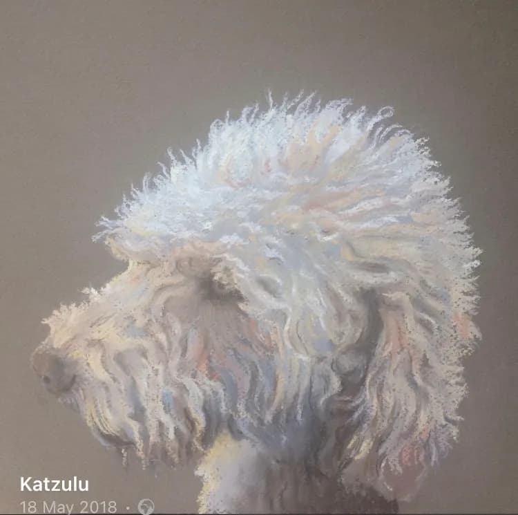Whimsical Portrait of a Fluffy Dog: A Soft and Artistic Tribute to Canine Charm