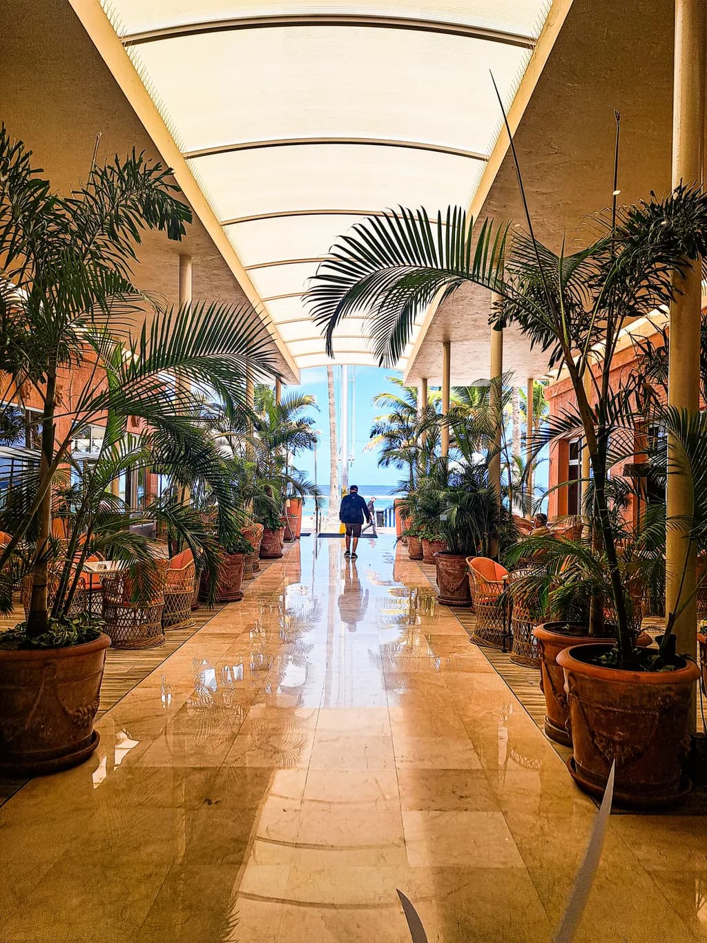 Tropical Serenity: A Journey Through Lush Elegance and Sunlit Pathways