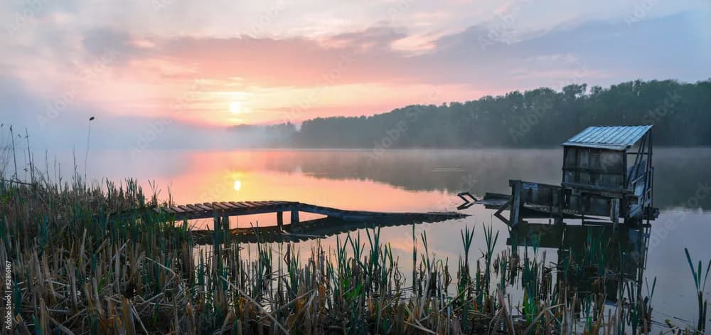 Serenity at Dawn: A Misty Reflection on Tranquil Waters