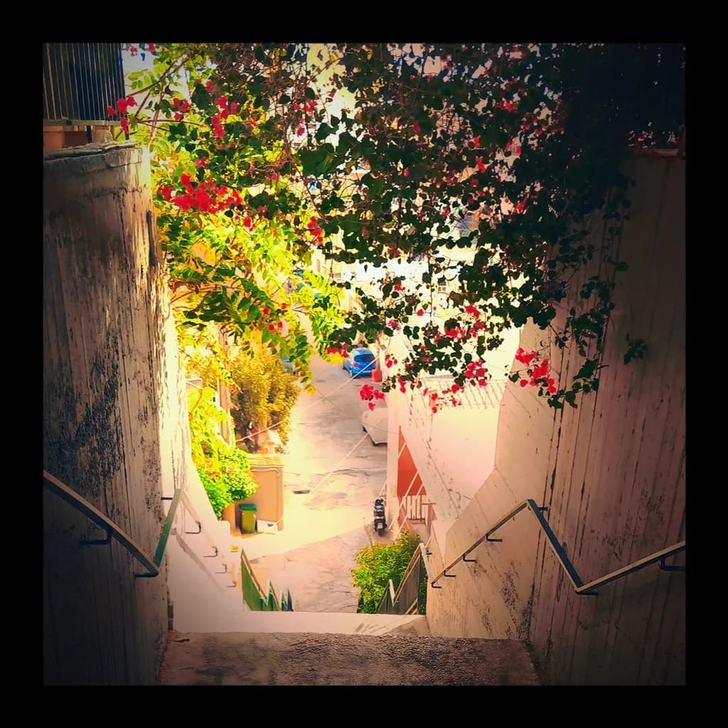 Stairway to Nature: A Blossoming Urban Escape
