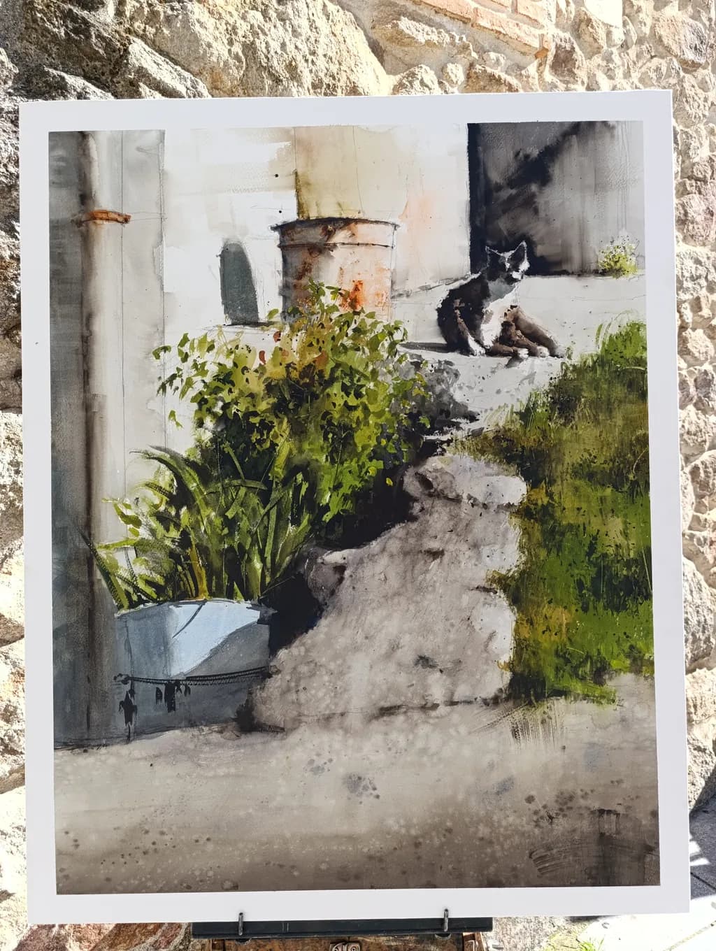 Whiskers in the Sun: A Serene Moment of Feline Reflection Amidst Nature's Embrace