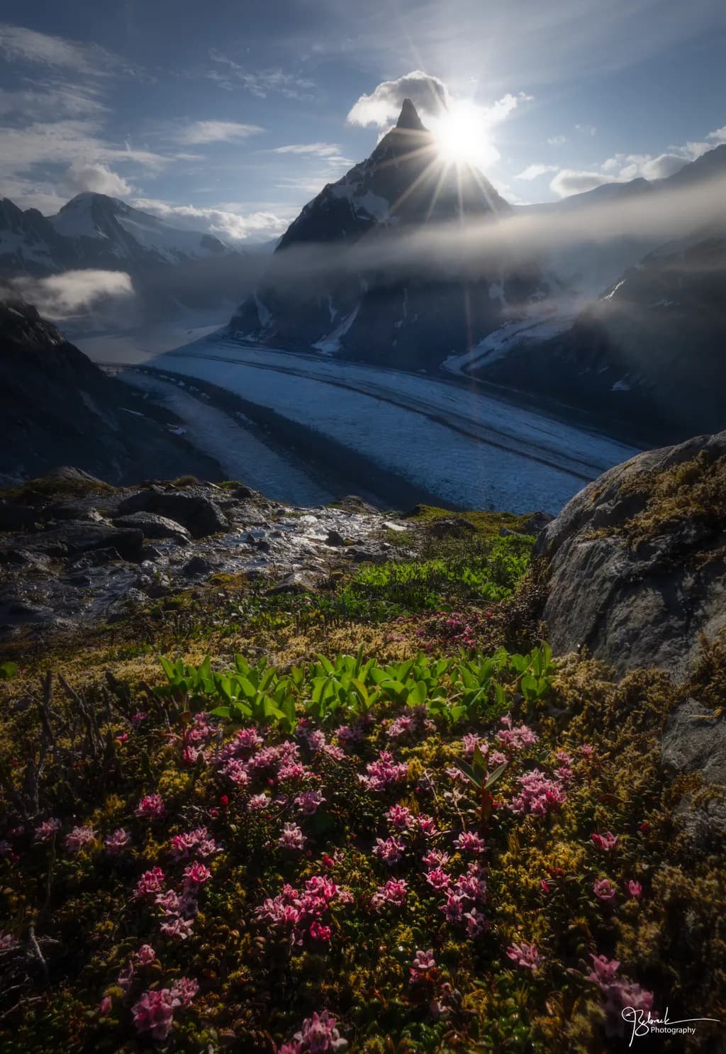 Majestic Dawn: Sunlit Peaks and Blossoming Valleys in the Heart of Nature's Splendor
