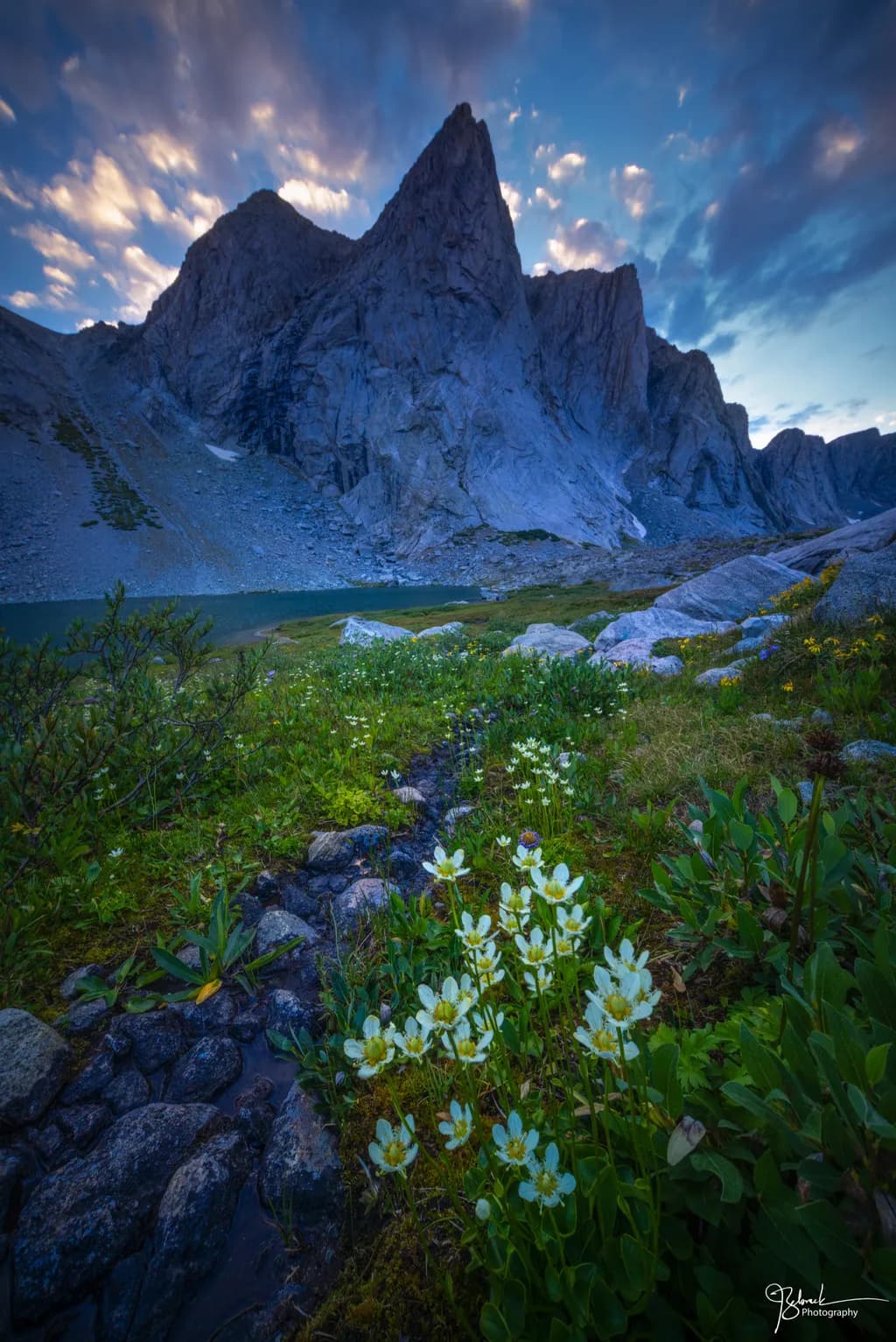 Mountain Serenity