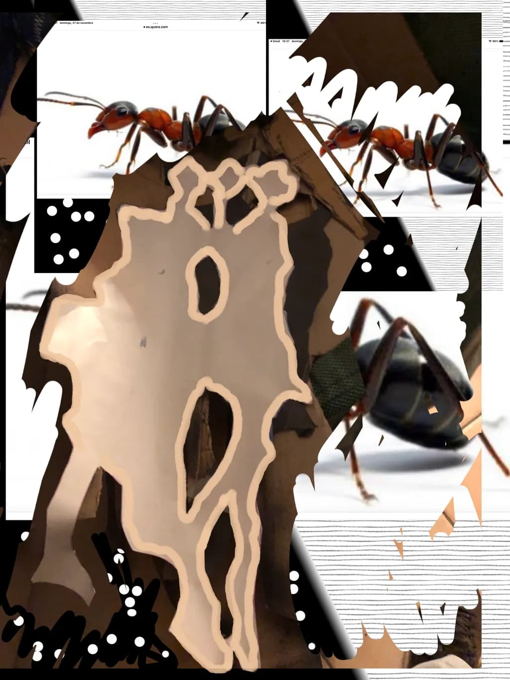 Fragmented Antscape