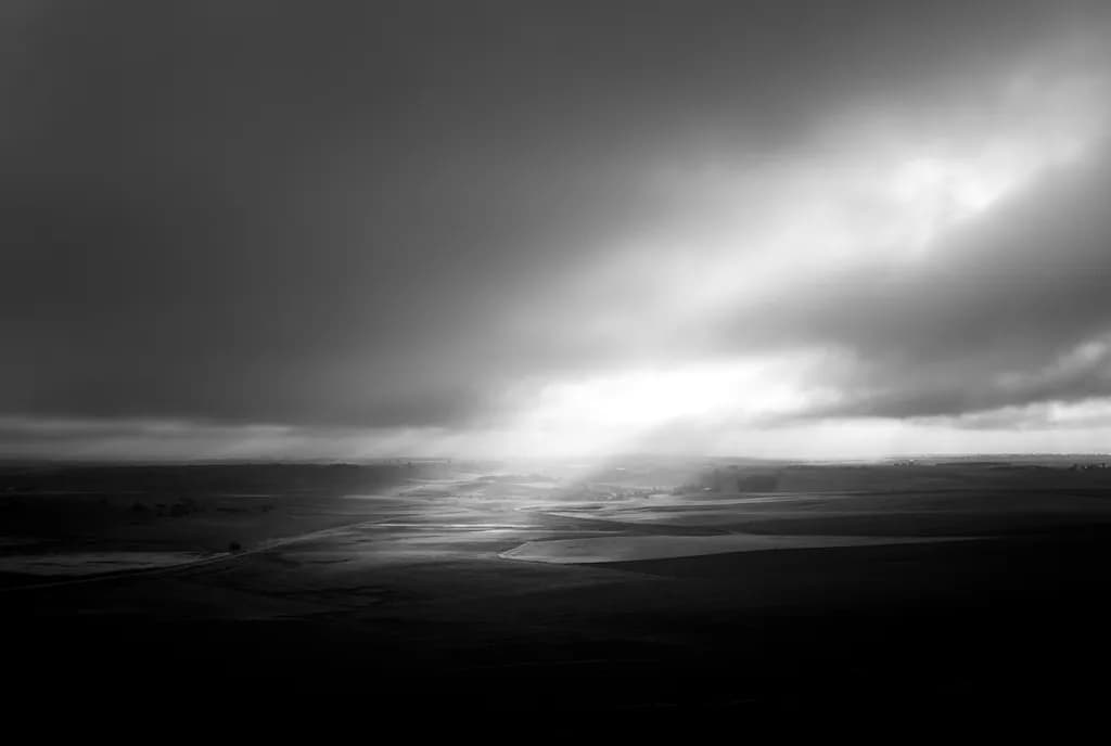 Whispers of Light: A Dance Between Shadows and Fields