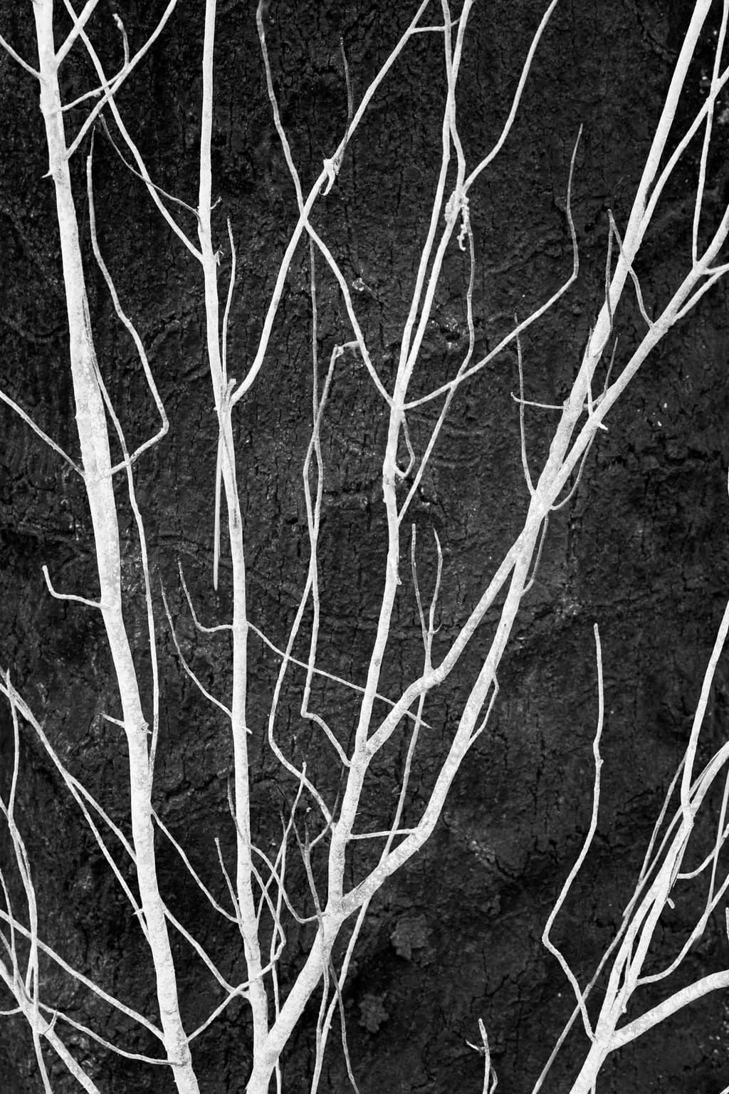 Arterial