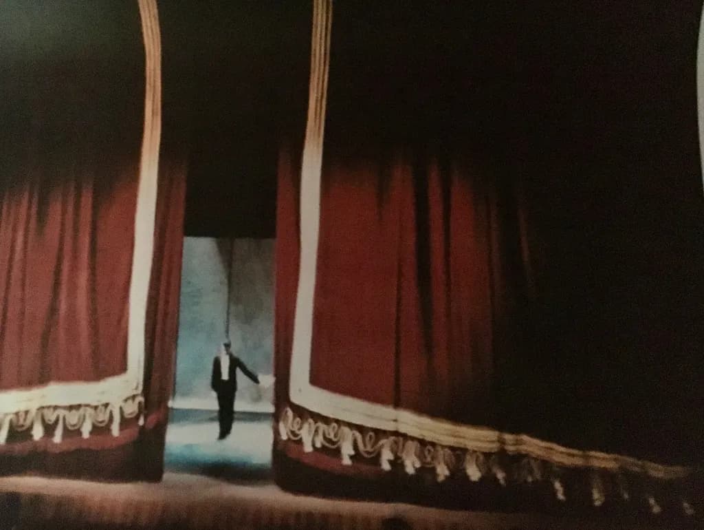 The Curtain Call: A Journey from Shadows to Spotlight