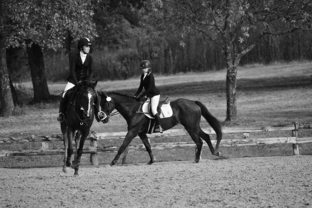 Equestrian Elegance: A Black and White Dance of Riders and Horses in Harmony