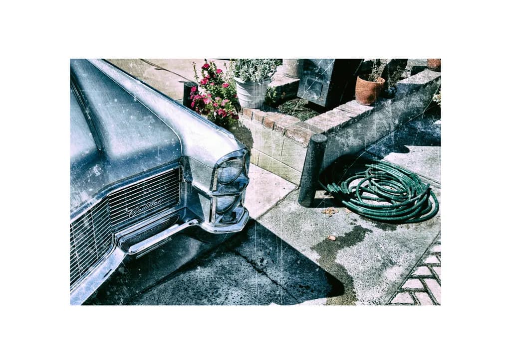 Vintage Elegance: A Classic Cadillac Amidst Garden Serenity