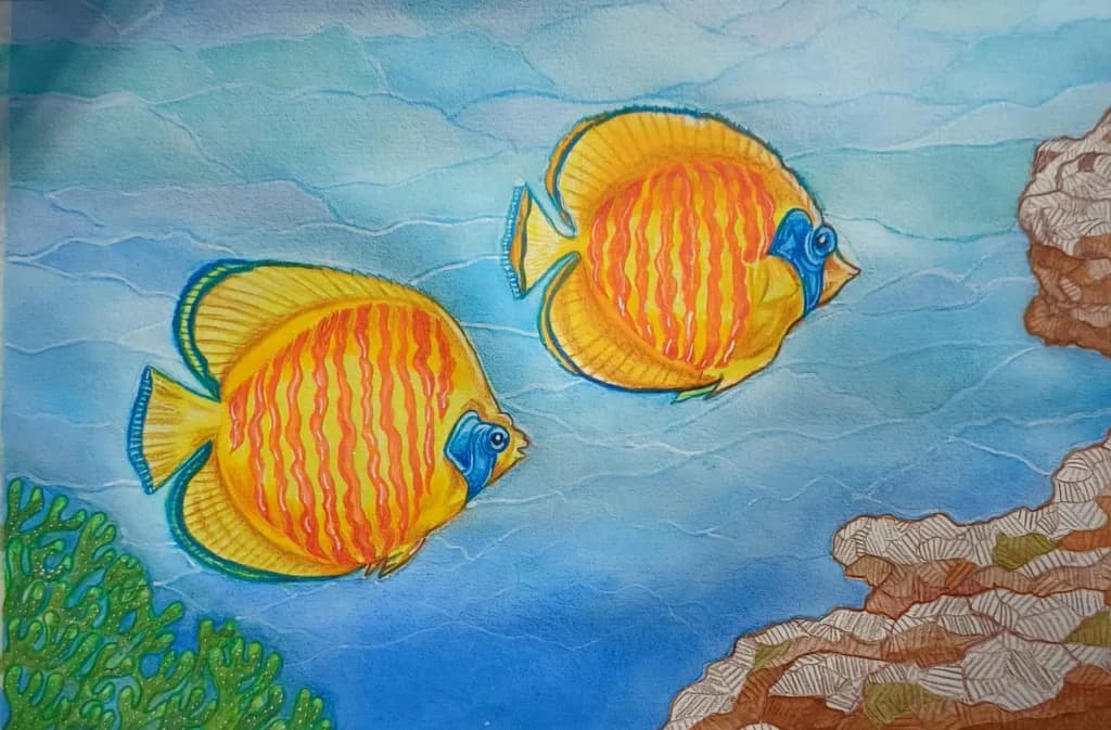 Twin Angelfish