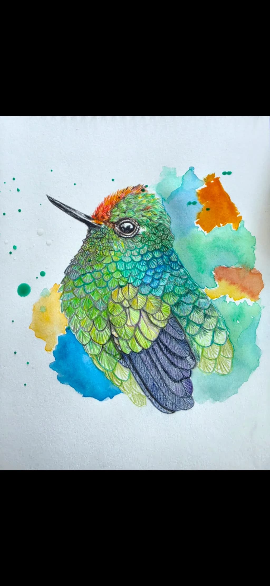 Colorful Hummingbird Illustration