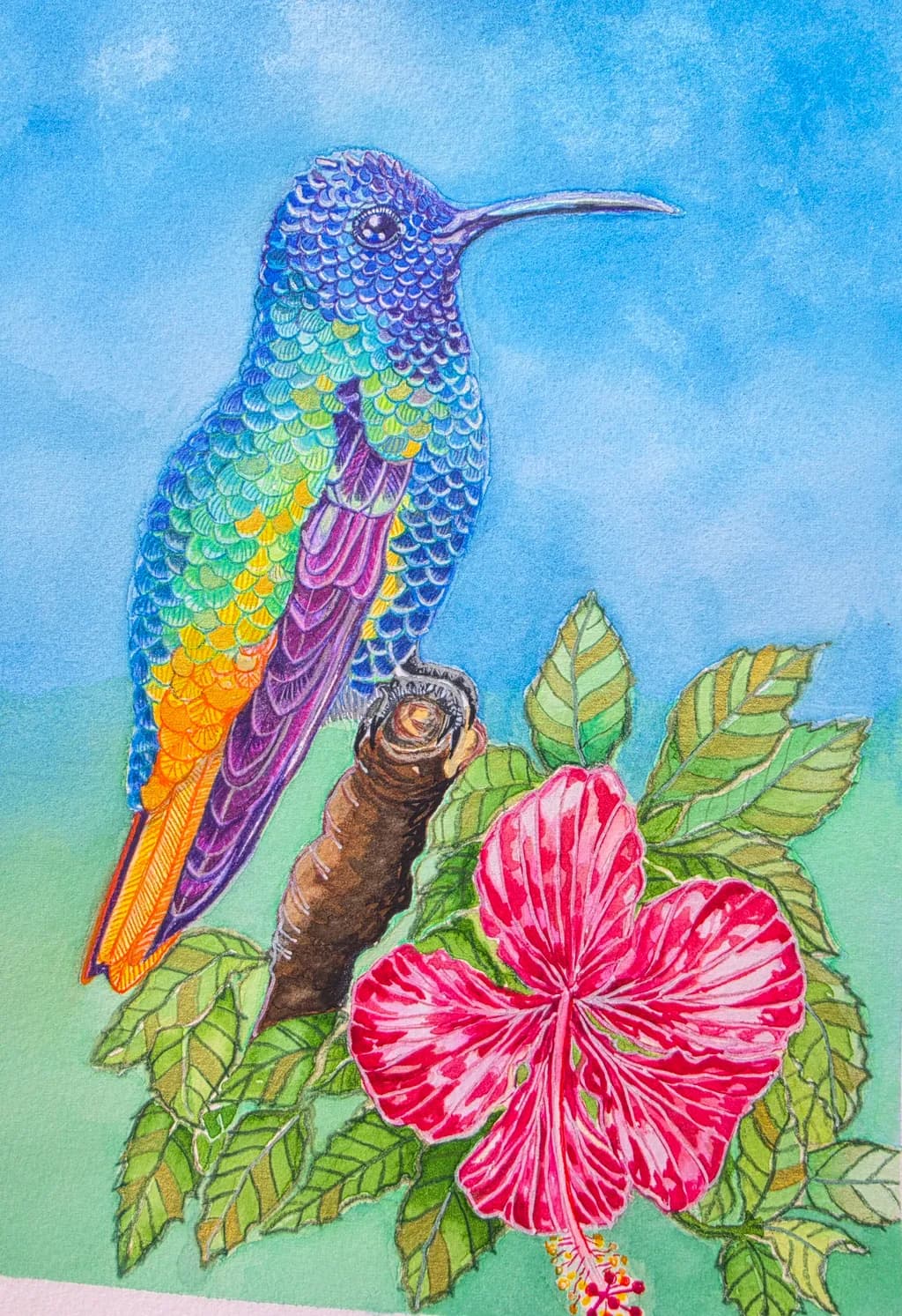 Hummingbird and Hibiscus