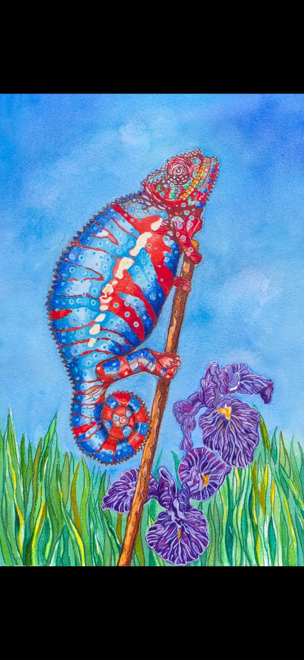 Chameleon on Iris Stem