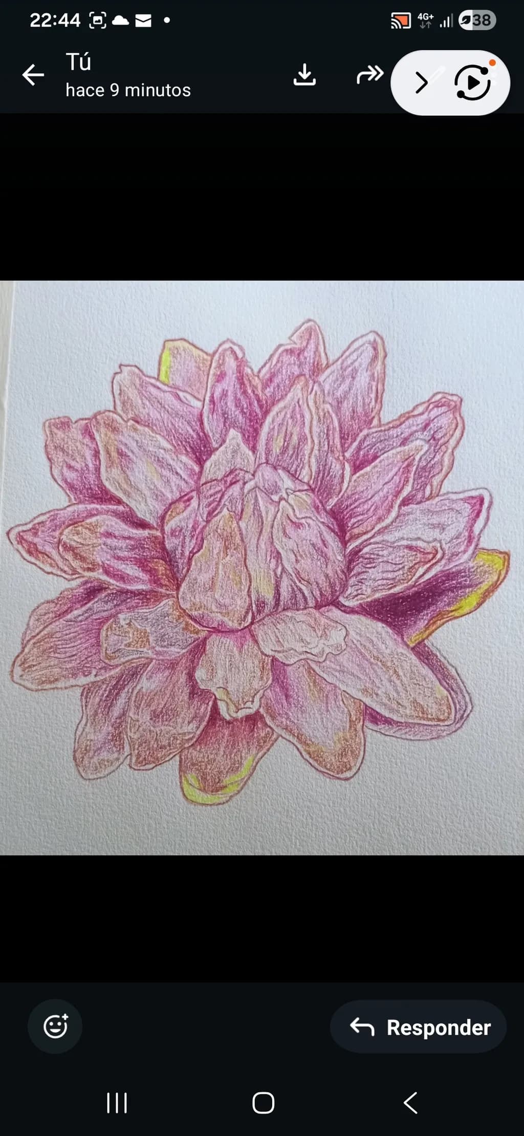 Bloom Layers