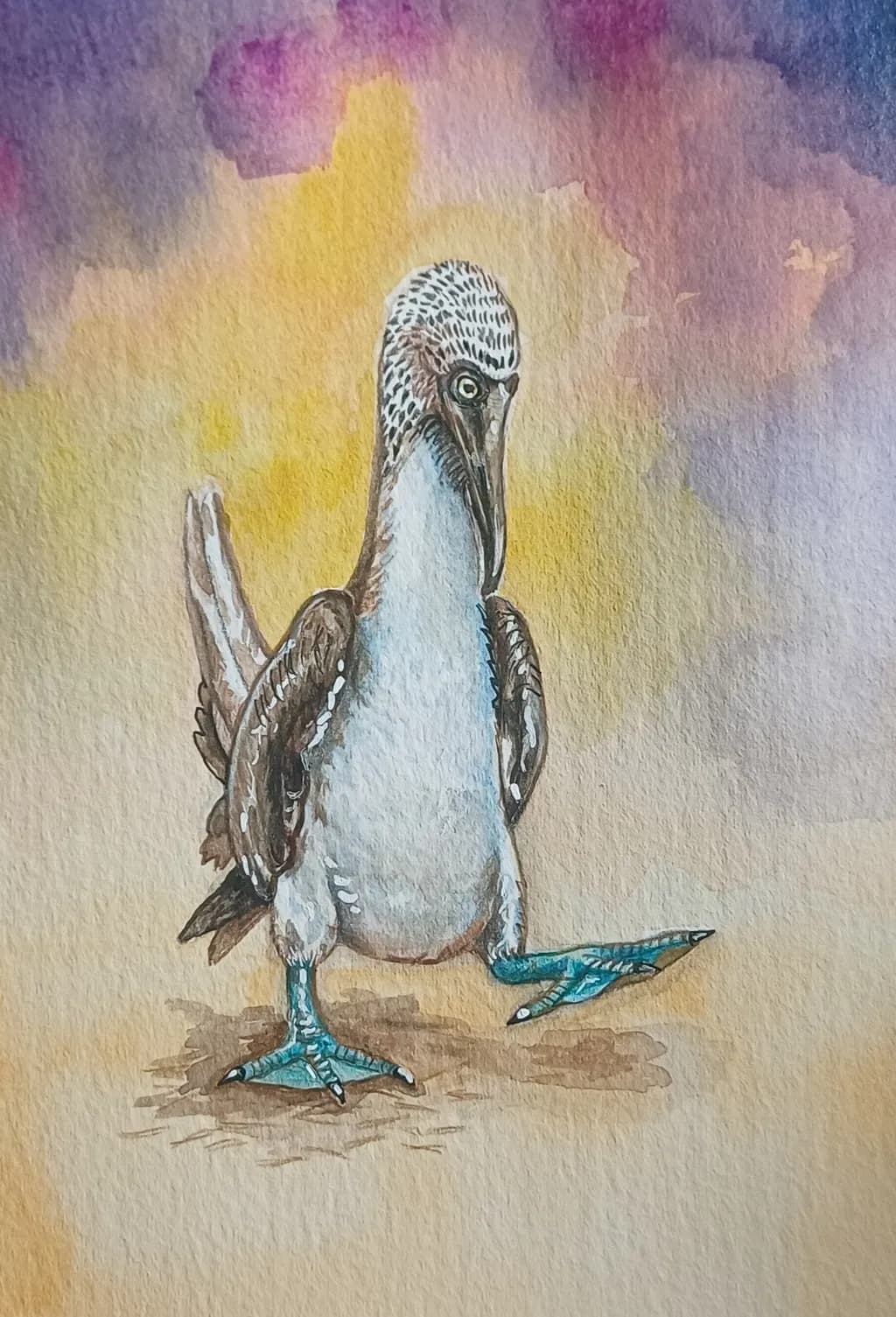 Blue-footed Stroll