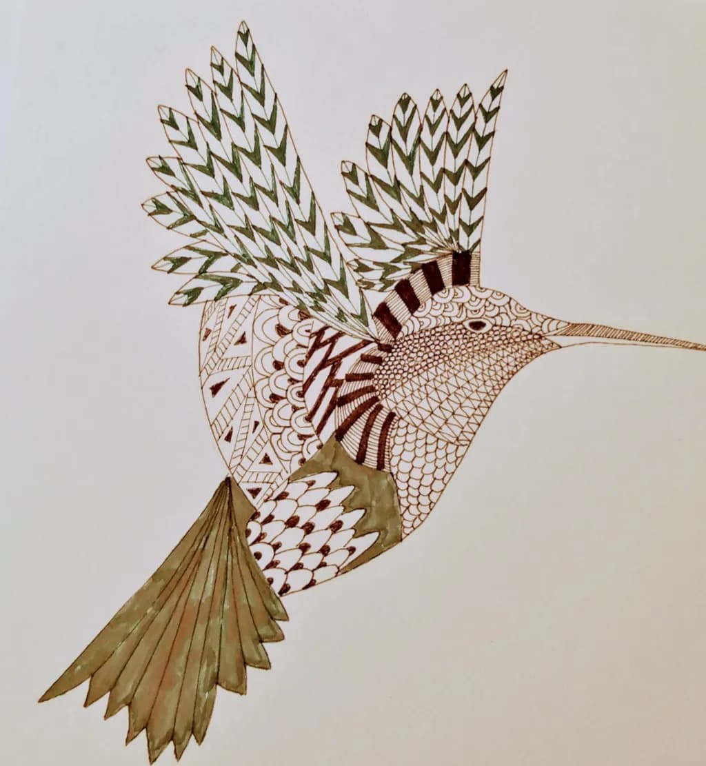 Intricate Hummingbird Patterns