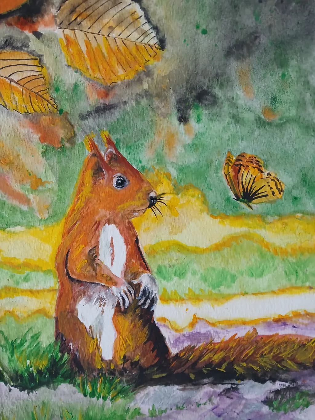 Squirrel's Gaze