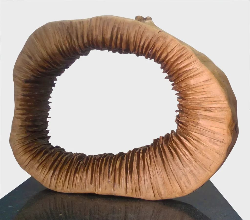 Textured Loop