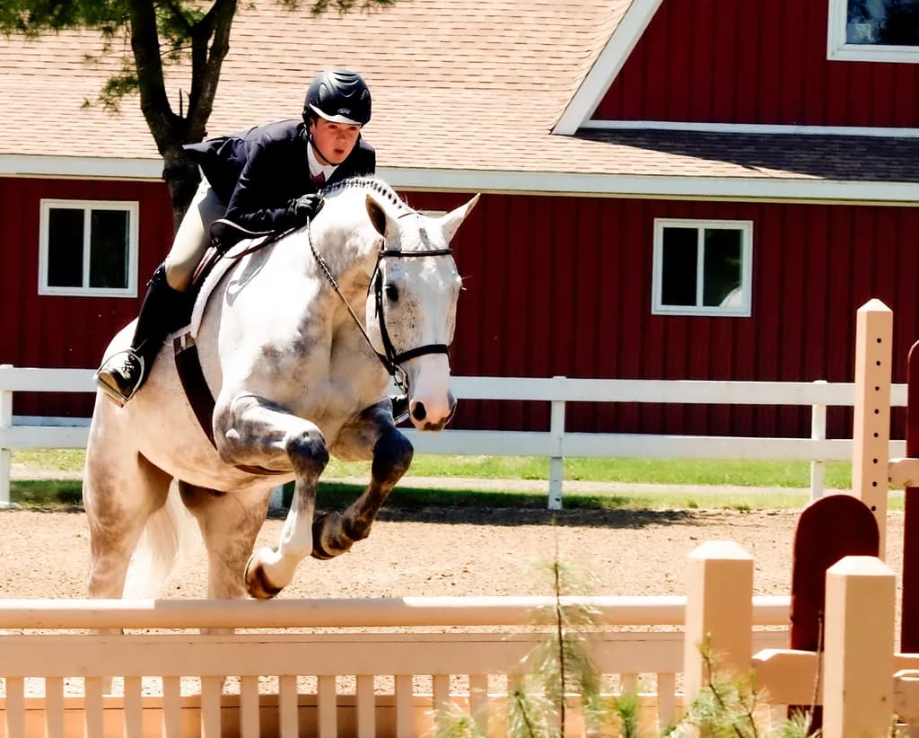Equestrian Leap