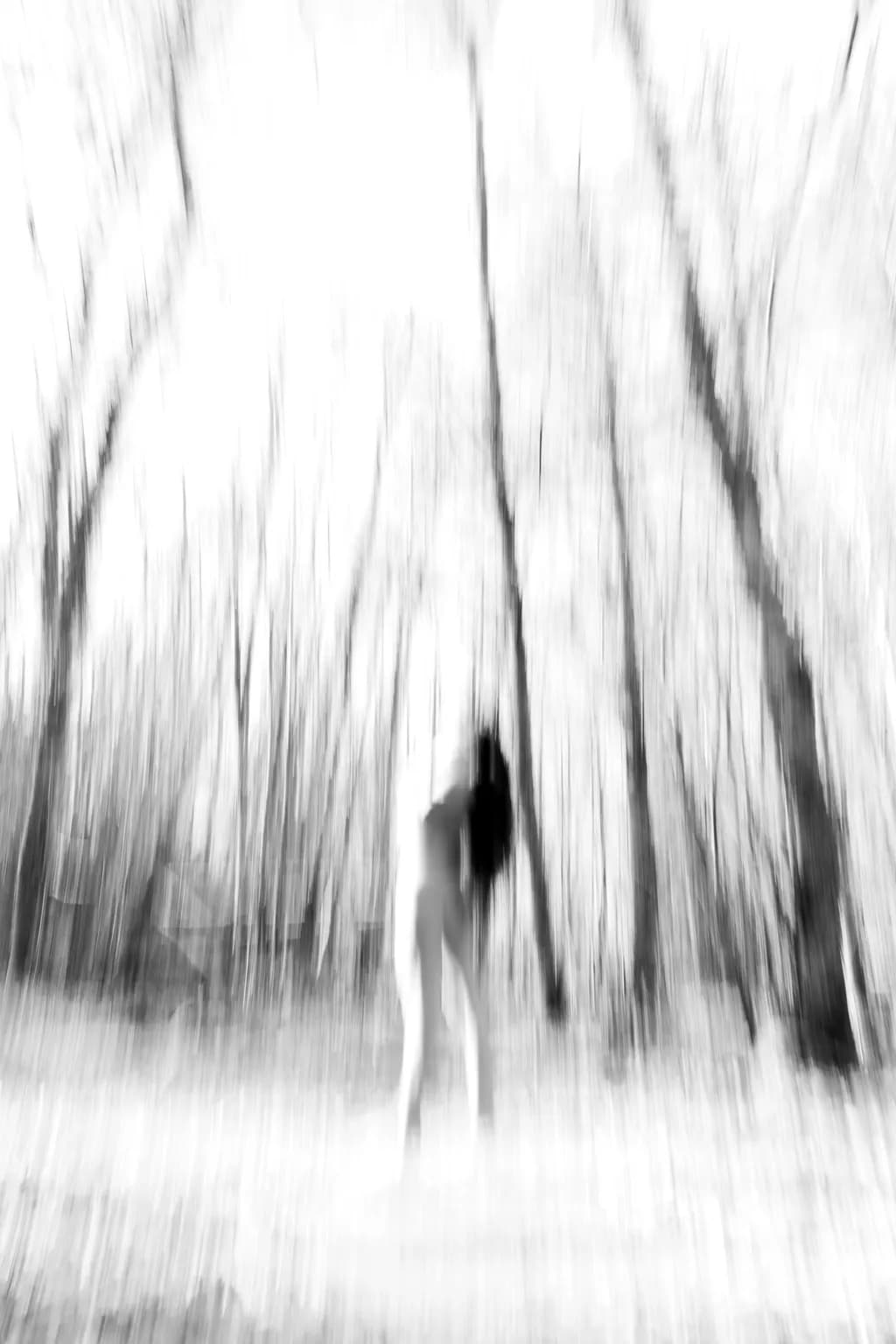 Whispers of Nature: An Ethereal Dance in Monochrome Silhouettes