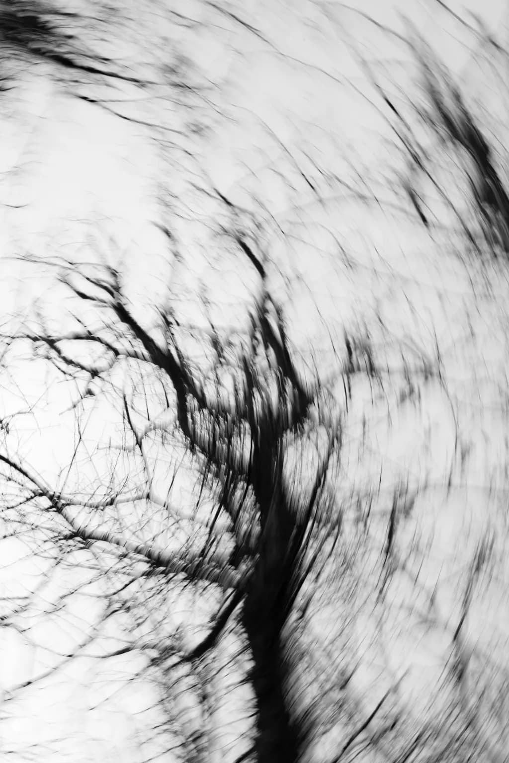 Whispers of the Wind: A Dance of Shadows and Light