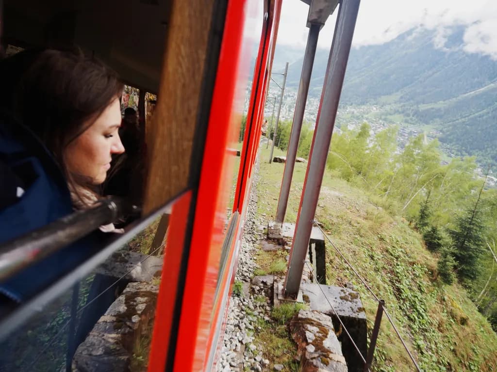 Journey Through the Window: A Moment of Reflection Amidst Nature's Embrace