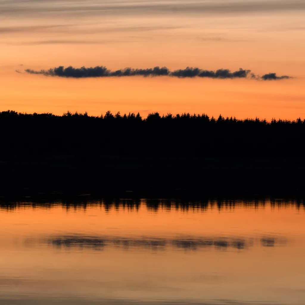 Forest Sunset Reflection