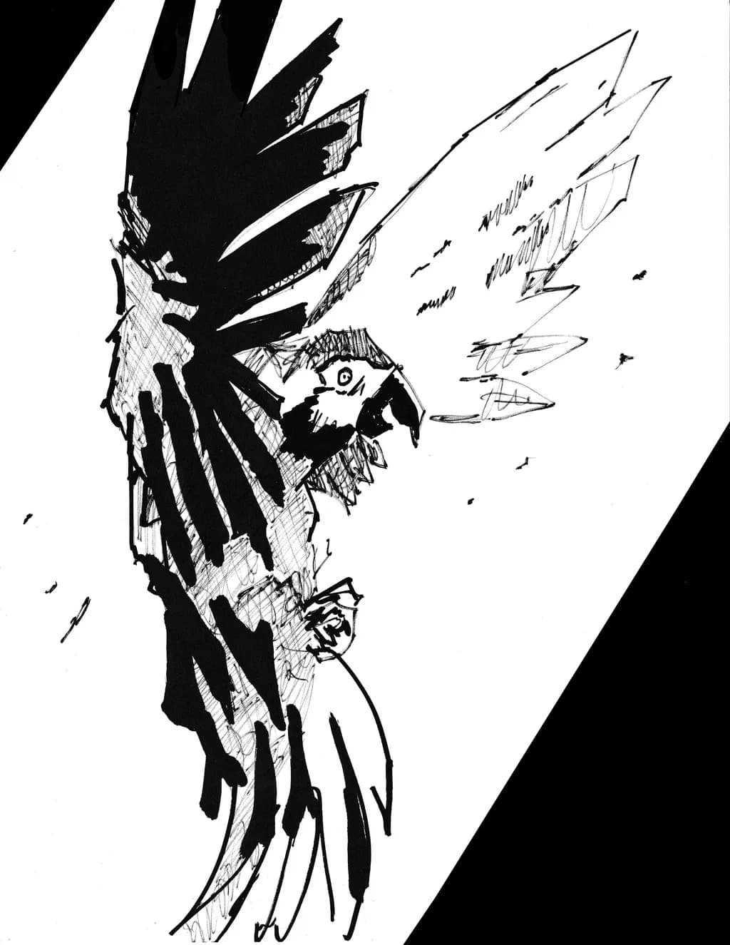Flight of the Black and White Bird: A Dynamic Sketch of Freedom and Grace