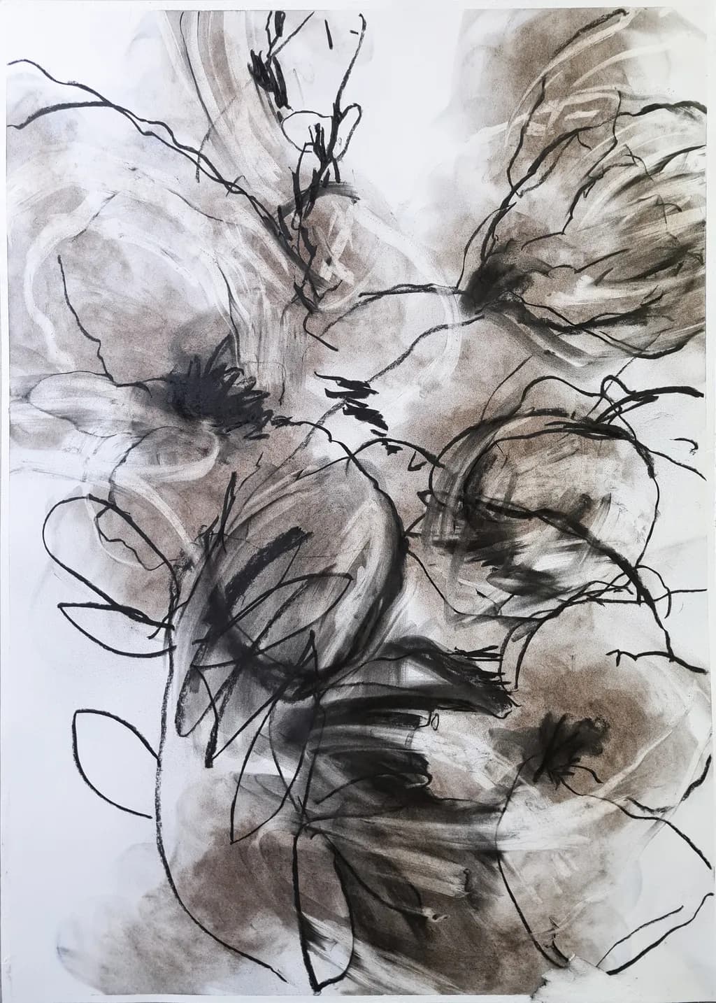 Whispers of Nature: An Abstract Exploration of Floral Forms in Earthy Tones