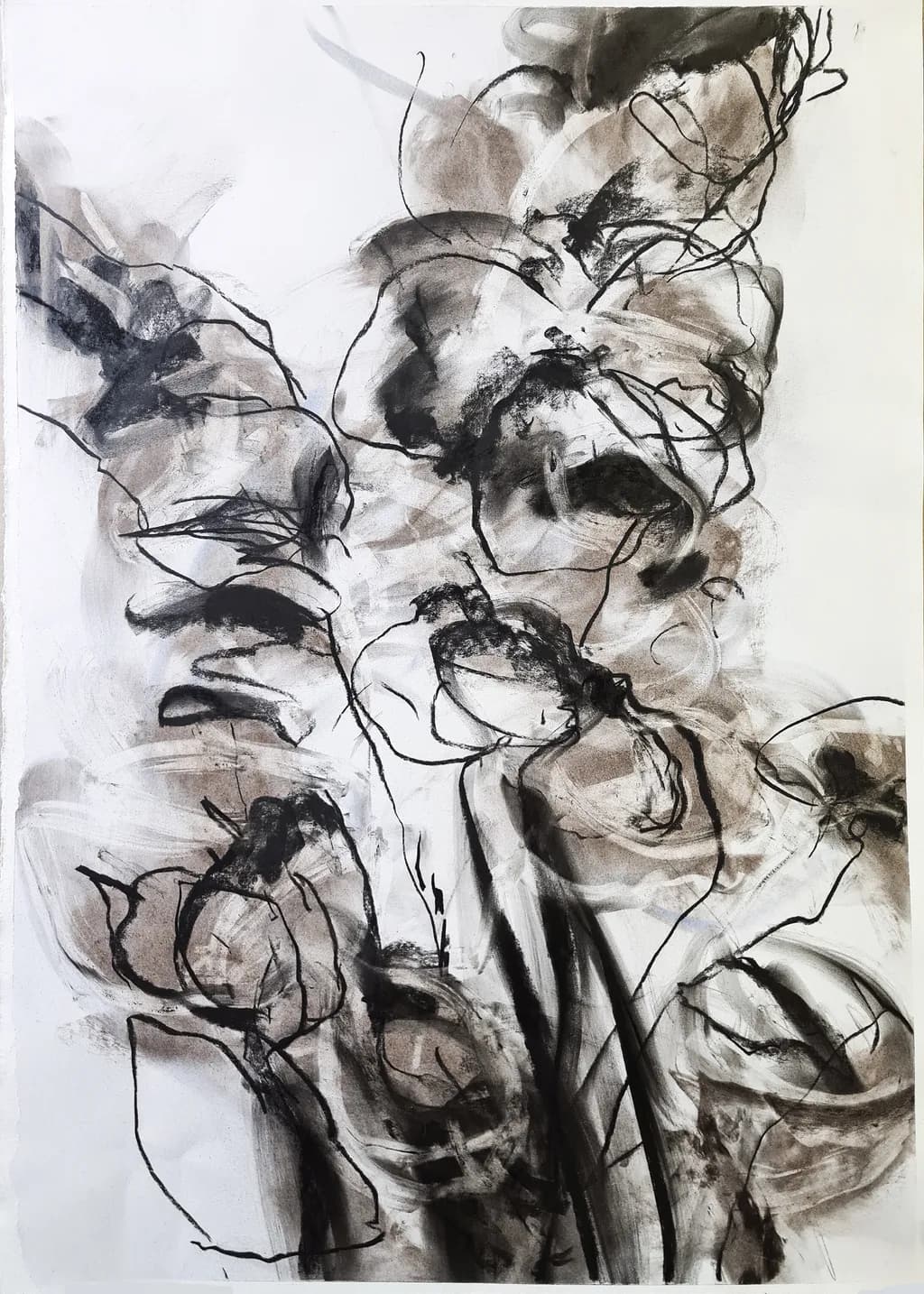 Whispers of Nature: An Abstract Floral Journey in Monochrome Tones