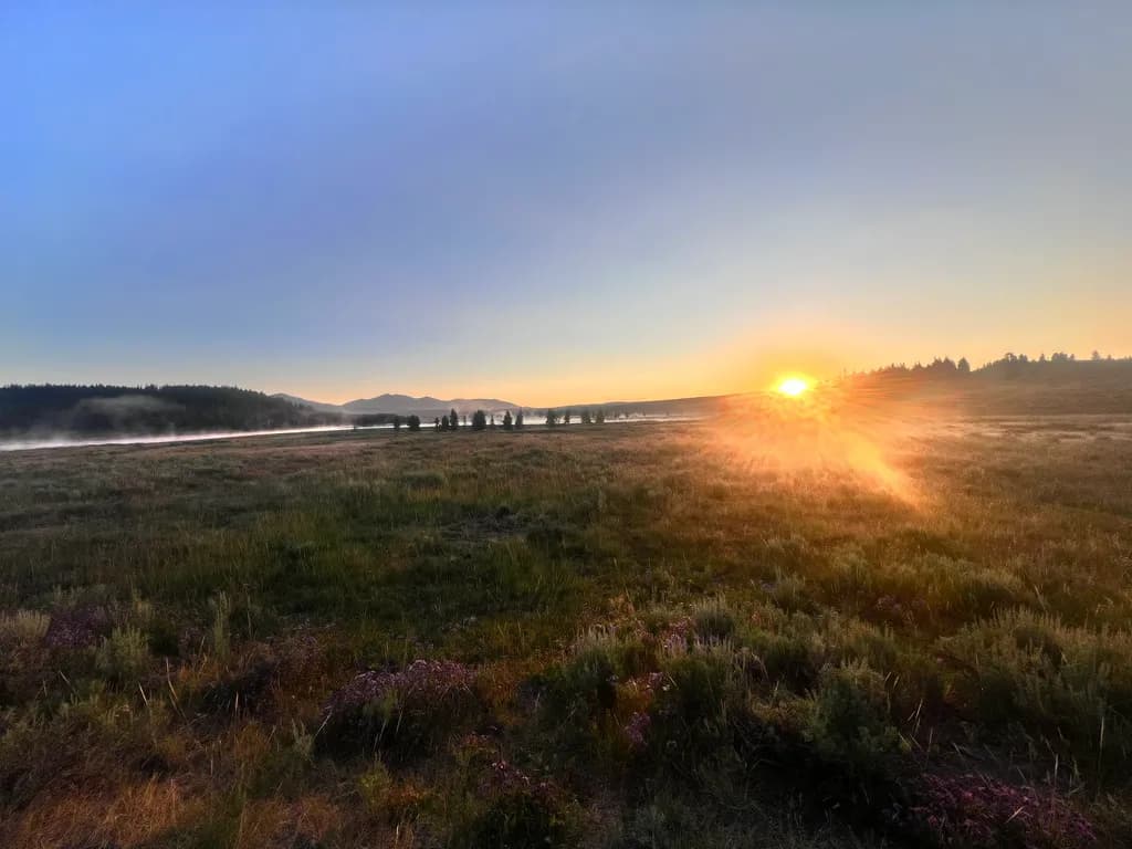 Morning Glow