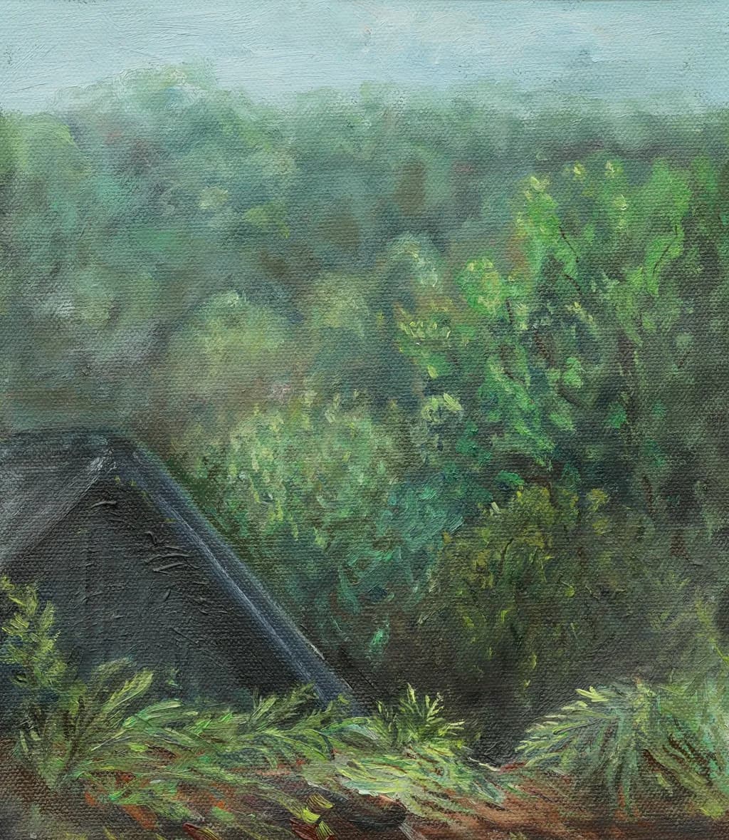 Whispers of Jeksen Dalen: A Serene Embrace of Nature's Palette
