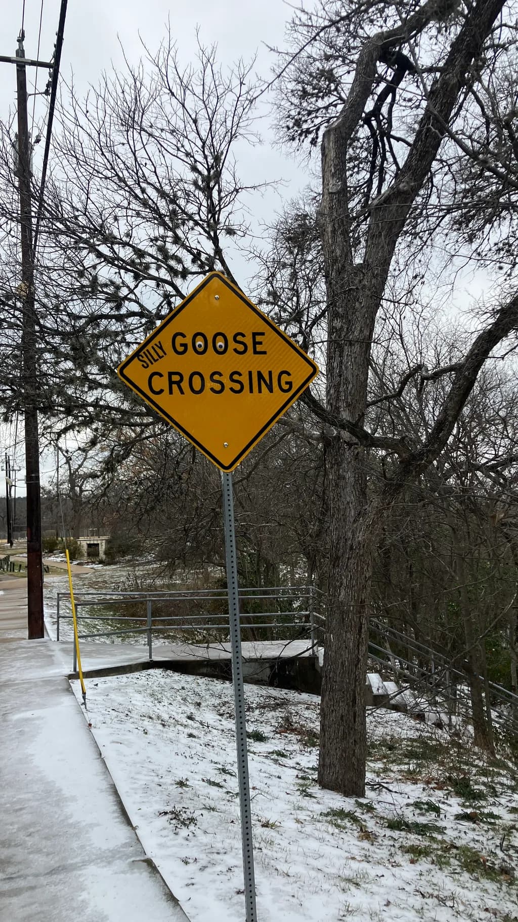 Silly Goose Crossing