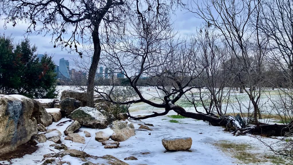 Urban Frostscape