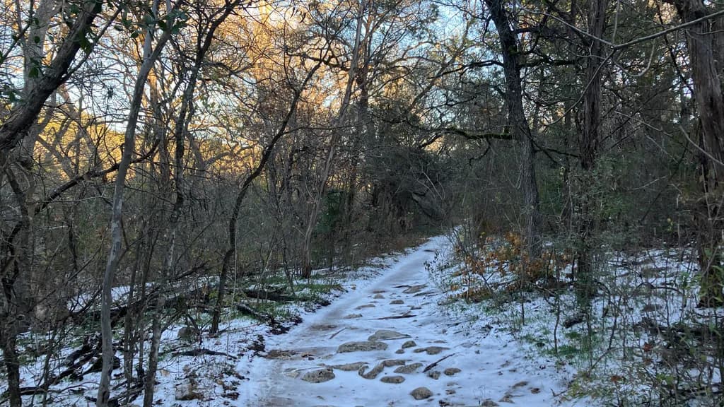 Winter's Quiet Crossing