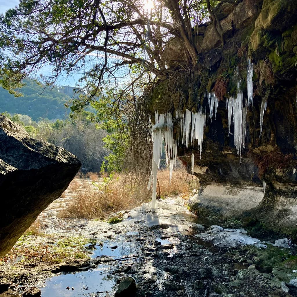 Frozen Repose