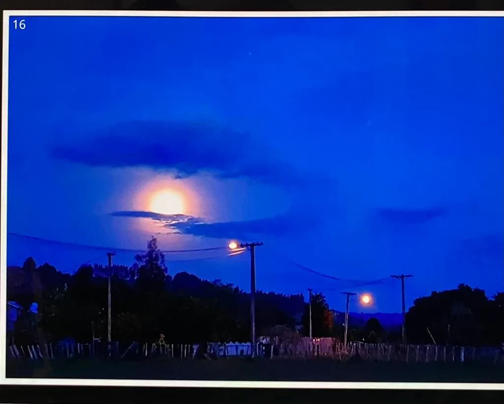 Dusky Moonlight