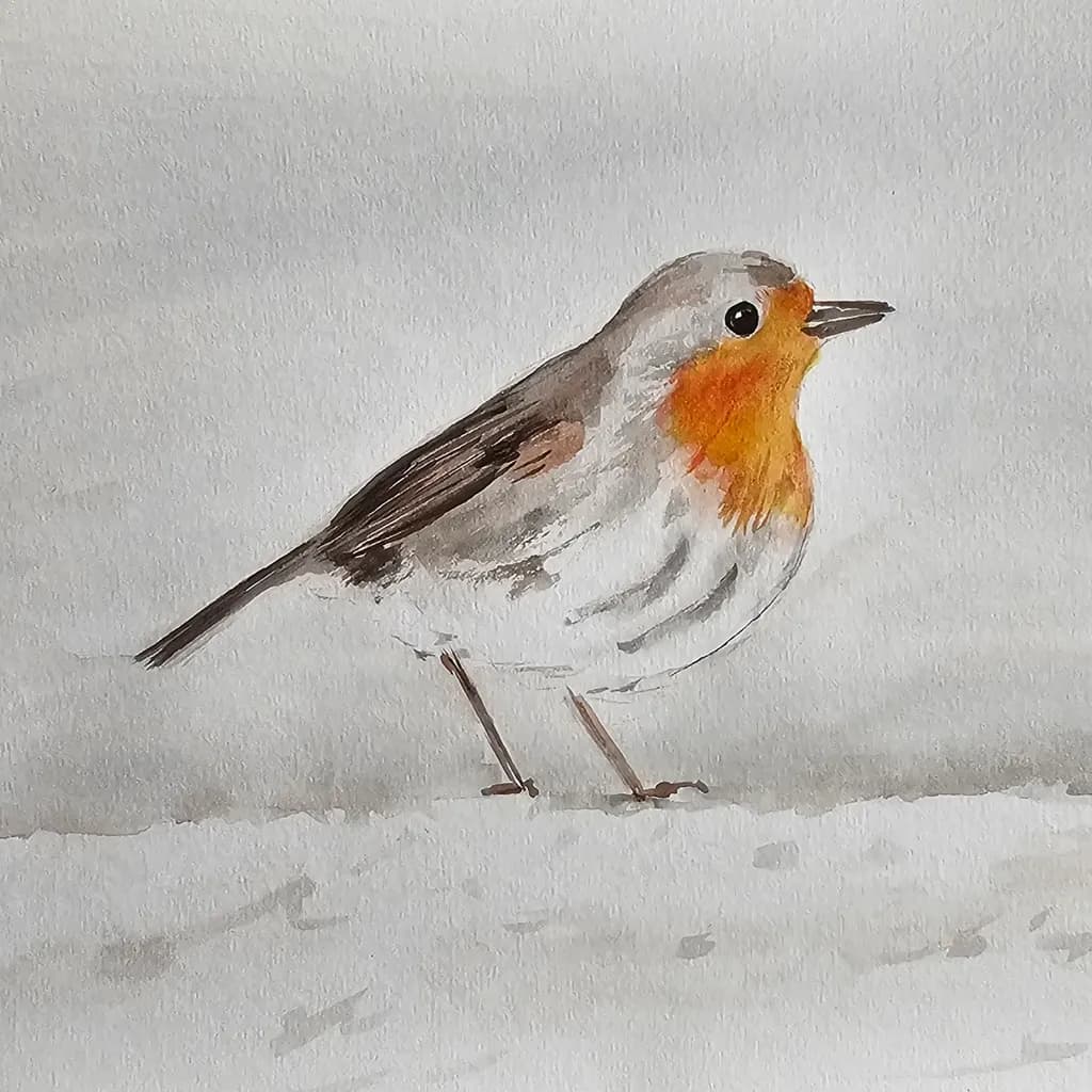 Robin's Reflection