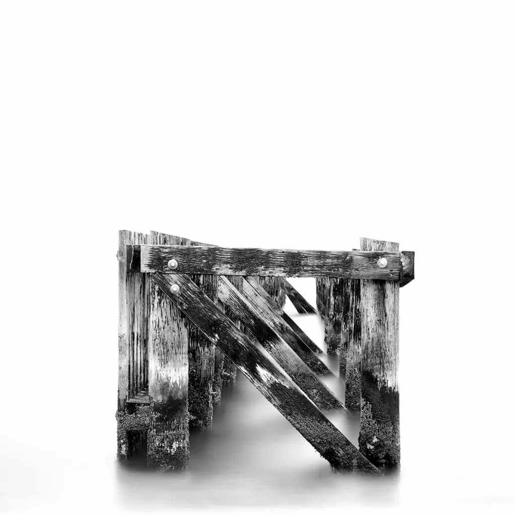 Remnant