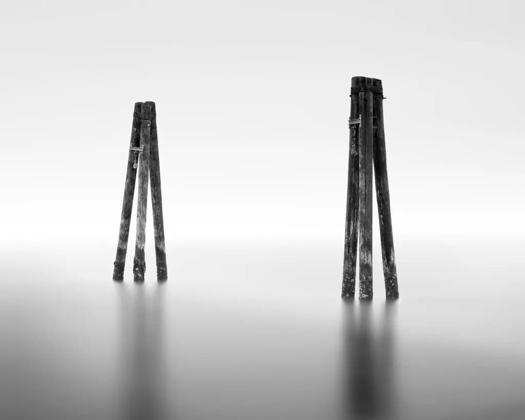 Sentinels