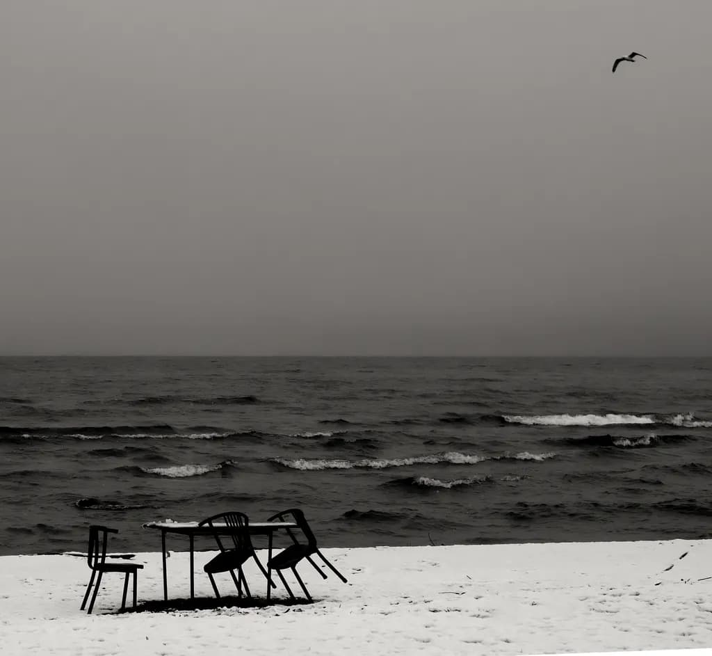 Seaside Solitude