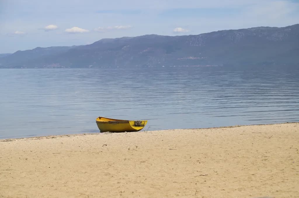 The boat