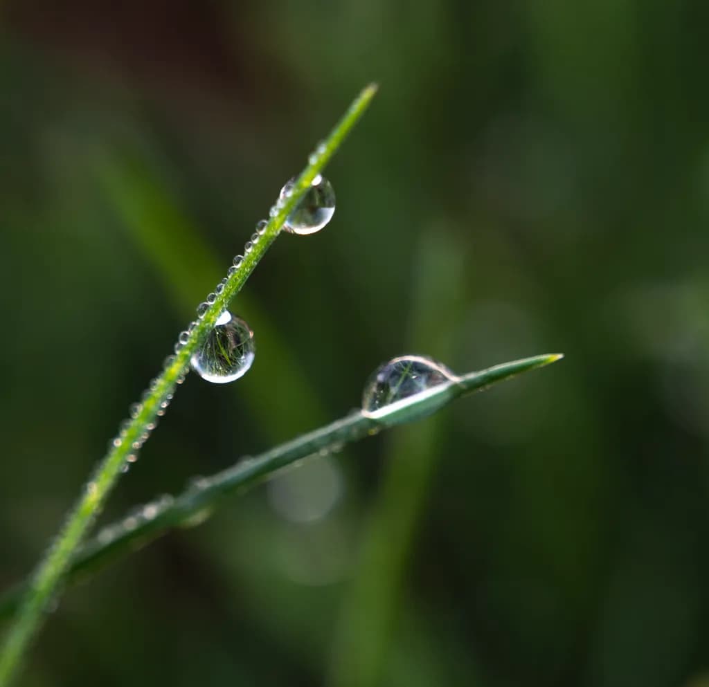 Dew Point Precision