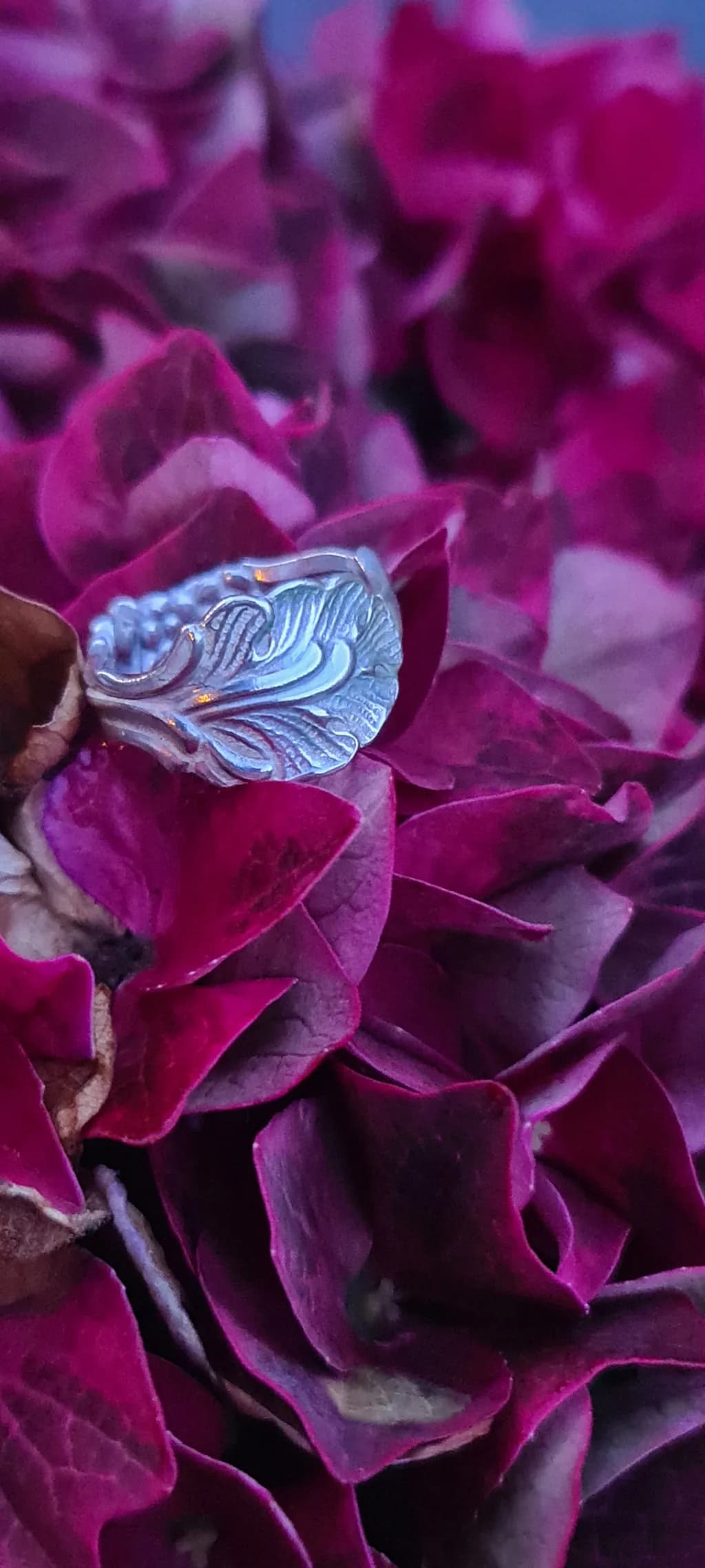 Whispers of Nature: Silver Leaf Ring Nestled Among Vibrant Petals