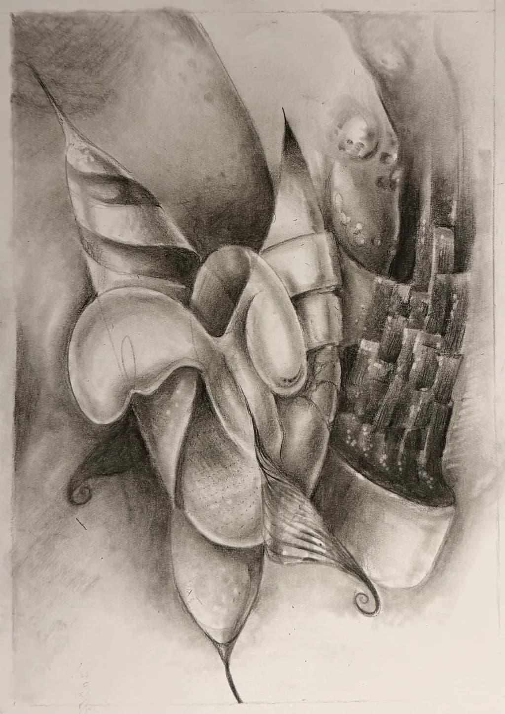 Organic Forms